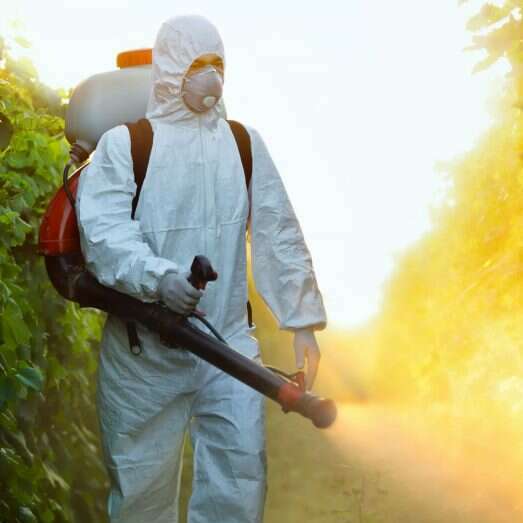 fumigaciones 1024x563 1 e1674134670681