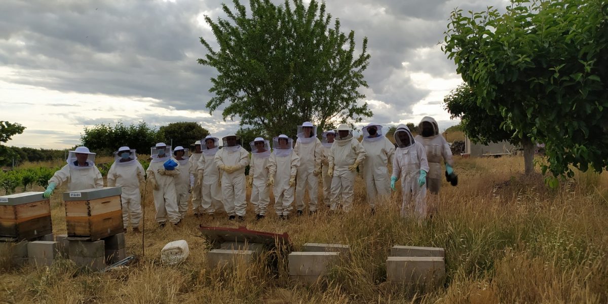 curso-apicultura-clausura-2